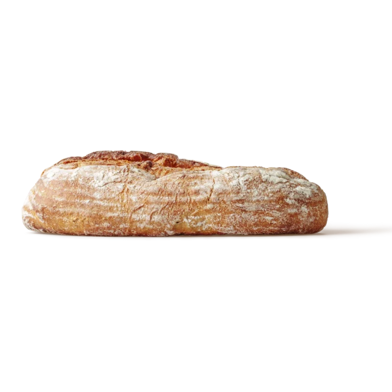 Italian Ciabatta